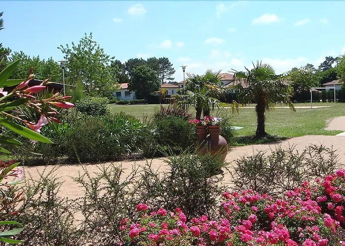 Domaine Du Pignada Vakantiepark *