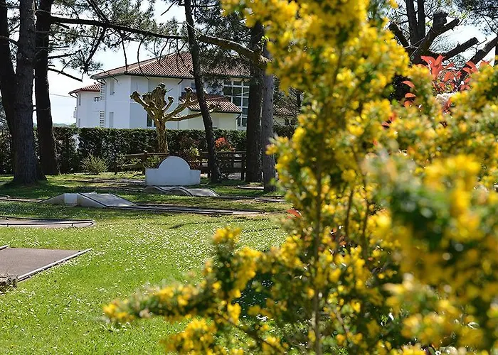 Domaine Du Pignada *